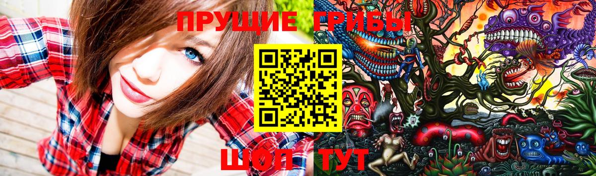 Химки  Галлюциногенные грибы GOLDEN TEACHER  Вход с VPN 